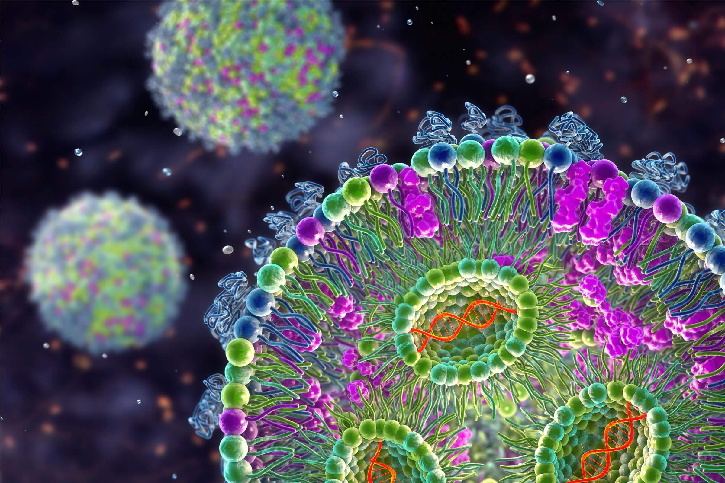 Ligand-Conjugated LNP Development Services