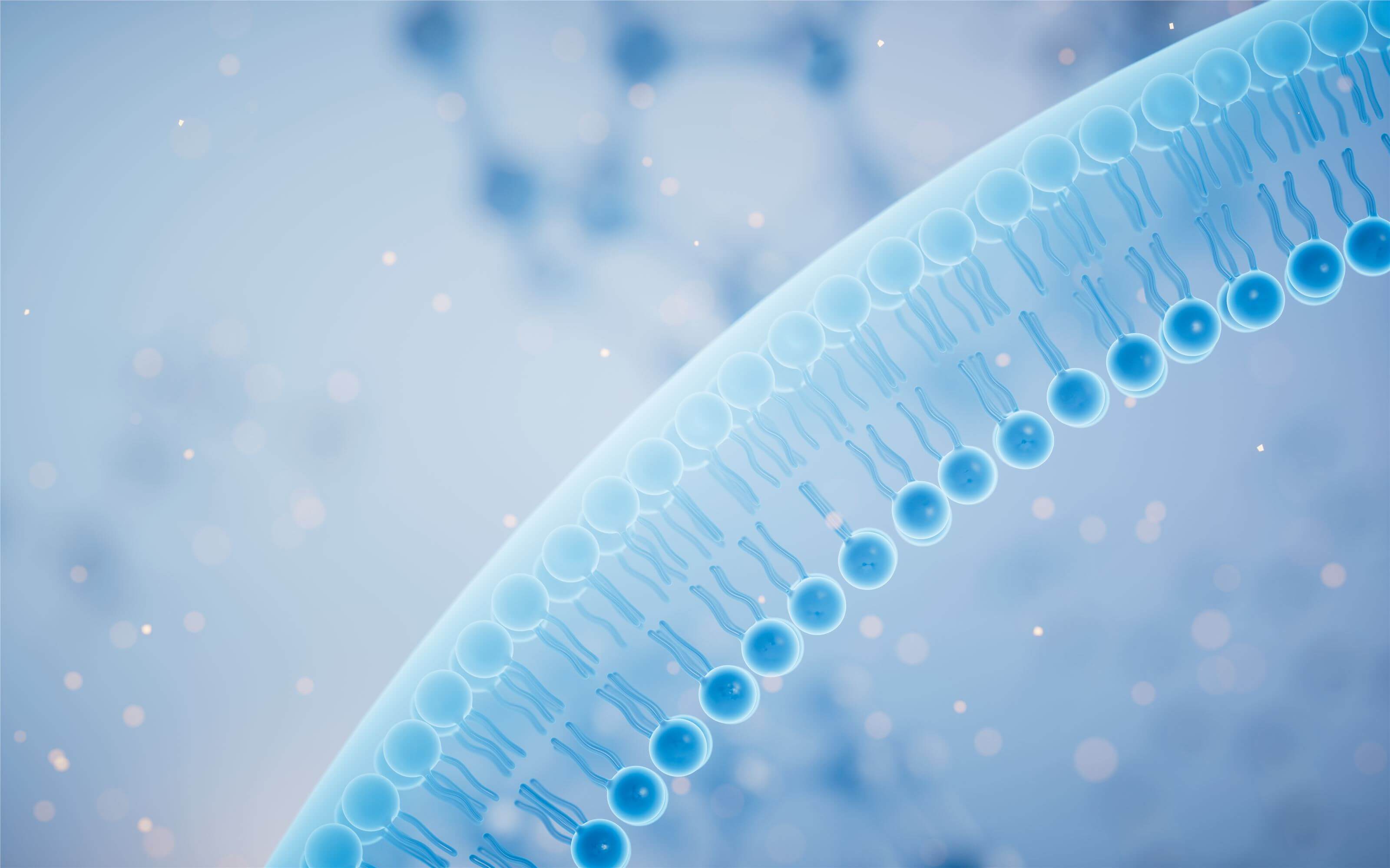 Related services - Lipid Synthesis for Liposomes Development. (Creative Biolabs Authorized)
