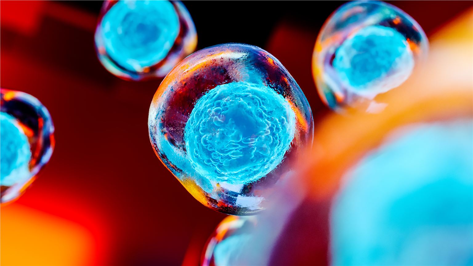 Related services - Payload Encapsulation Services. (Creative Biolabs Authorized)
