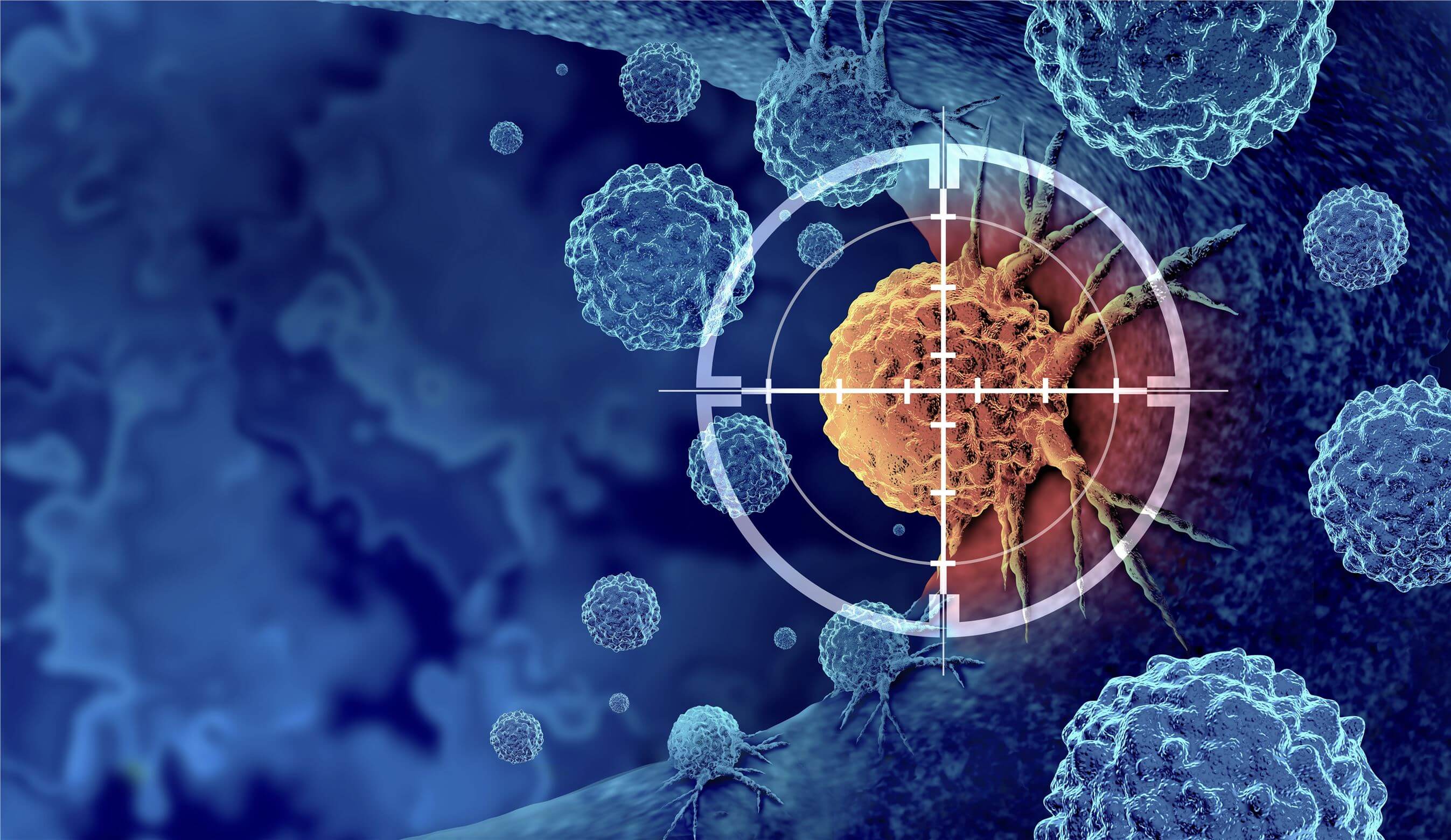 Related services - Targeted Module Synthesis Services. (Creative Biolabs Authorized)