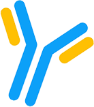 Ligand-antibody. (Creative Biolabs Original)