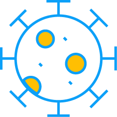 Virus-Like Drug Conjugates (VDC)