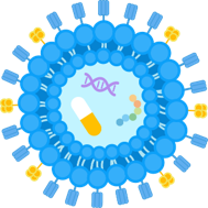 Virus-Like Particles (VLP)