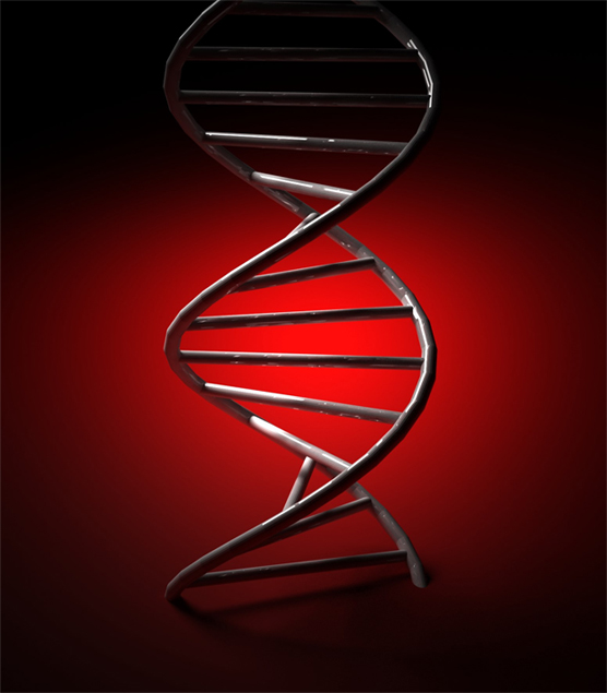 DNA and RNA Vaccine Design