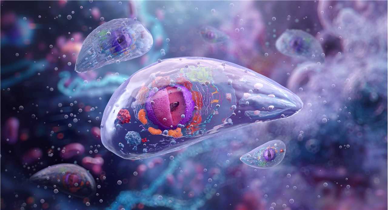 Visual representation of the Advanced Parasitic Vaccine Solution, highlighting its role in parasitic disease prevention.