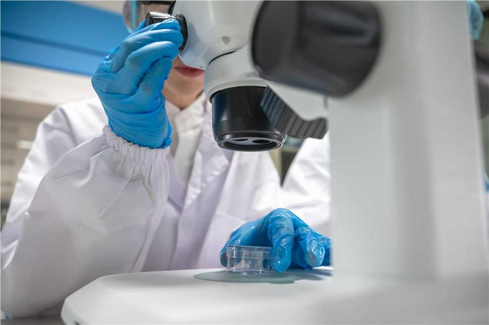 Photographic documentation of ongoing lab work in a Parasitic Vaccine research laboratory.