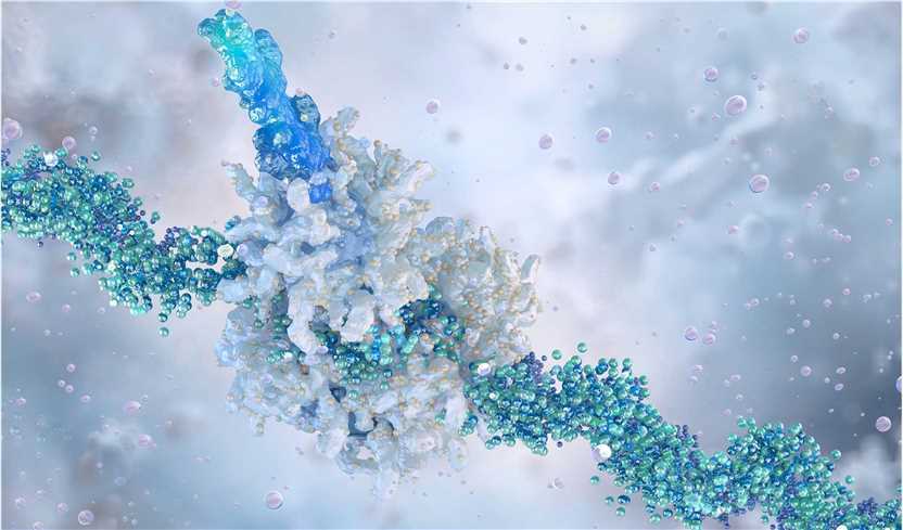 Schematic or result of recombinant protein expression and purification for HBV vaccine.