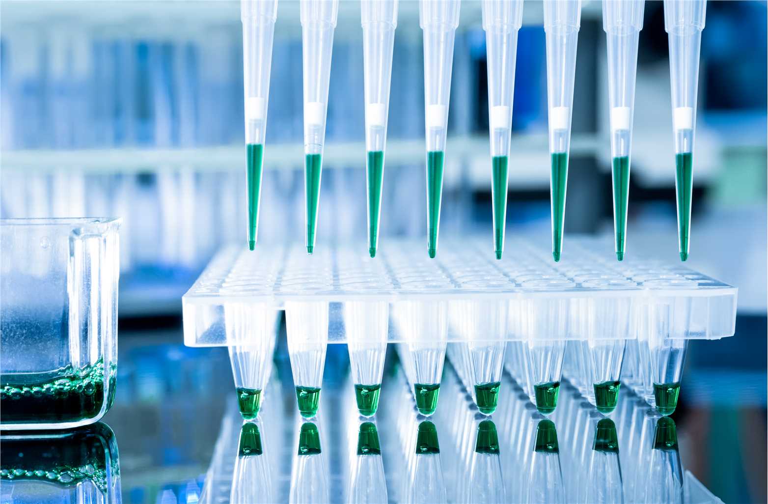 High-throughput screening process or results for HBV vaccine development.