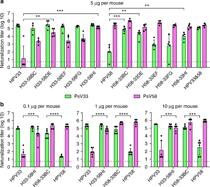 Analysis of immunogenicity of loop-swapped HPV33/58 chimeric virus-like particles (VLPs)