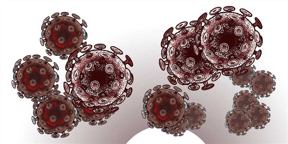 Illustration of the diverse vector systems—including both viral and non-viral delivery methods—utilized to deliver vaccine components and stimulate an immune response.