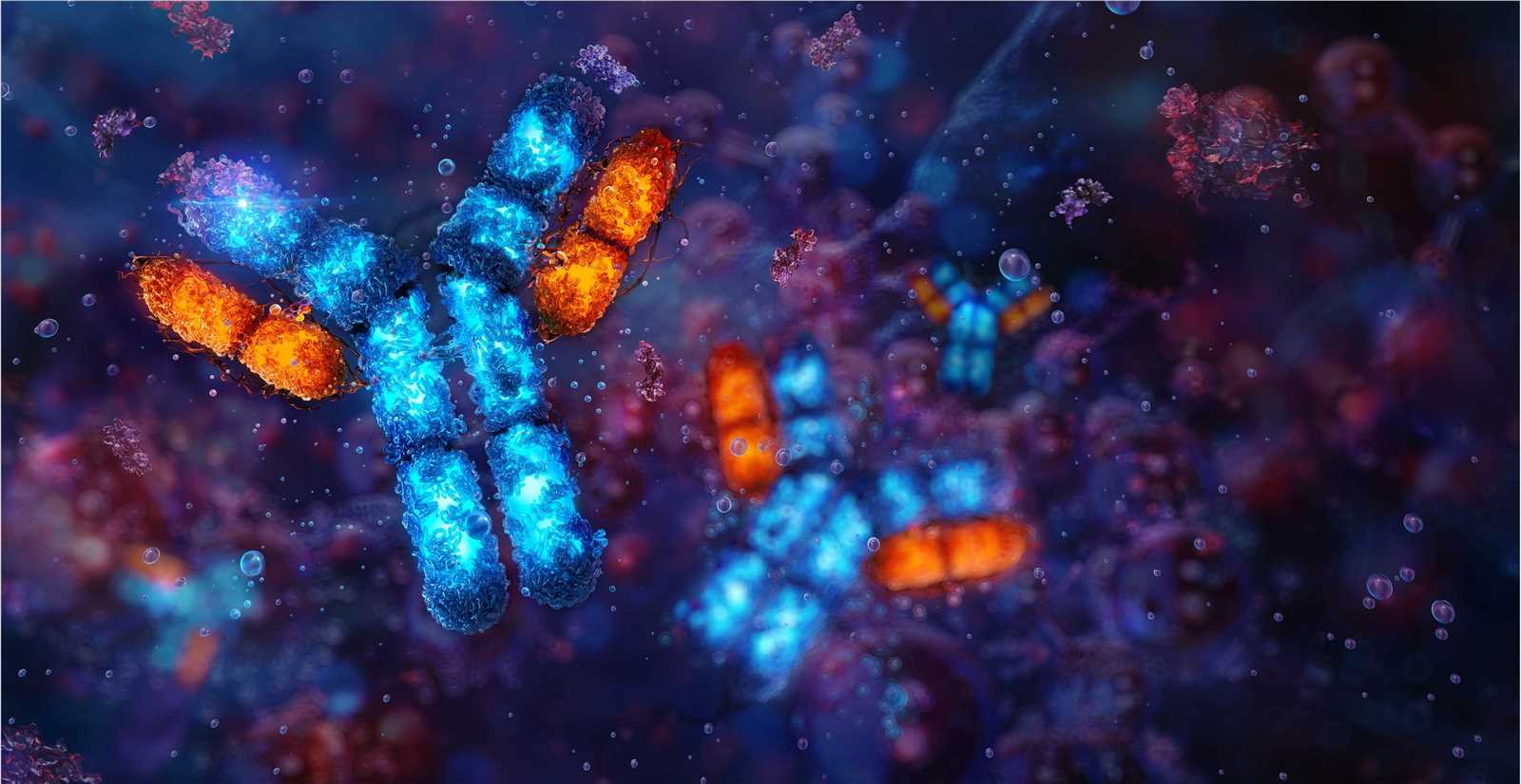 Fig.2: Immunoinformatics and Epitope Prediction Platform.