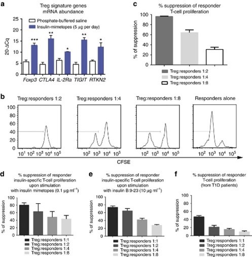 Fig.7: Results of Treg signatures and suppressive potential in humanized nsg-hla-dq8 transgenic mice.