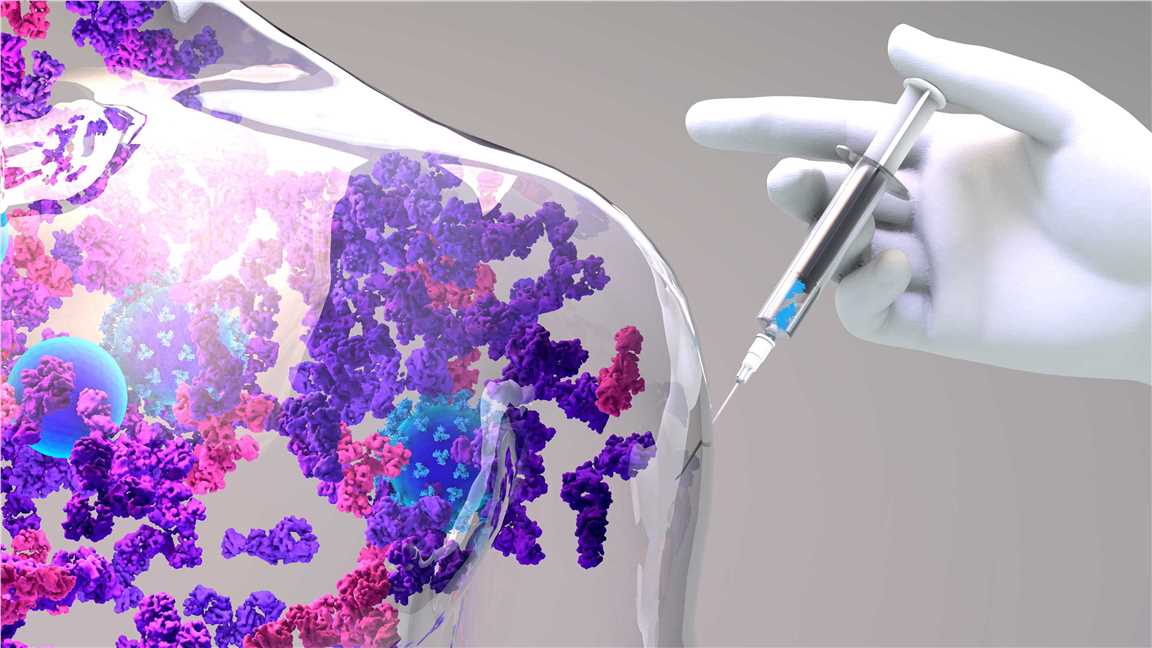 Fully Humanized Immune Response Simulation System for the vaccine.