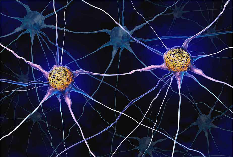 Multi-Modal Neuropathological Assessment Technology post-vaccine.