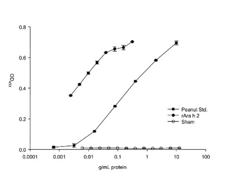 Experimental data or analytical results showing the immune reactivity of recombinant Ara h2 (rAra h 2) in the context of allergic disease-related vaccine research.