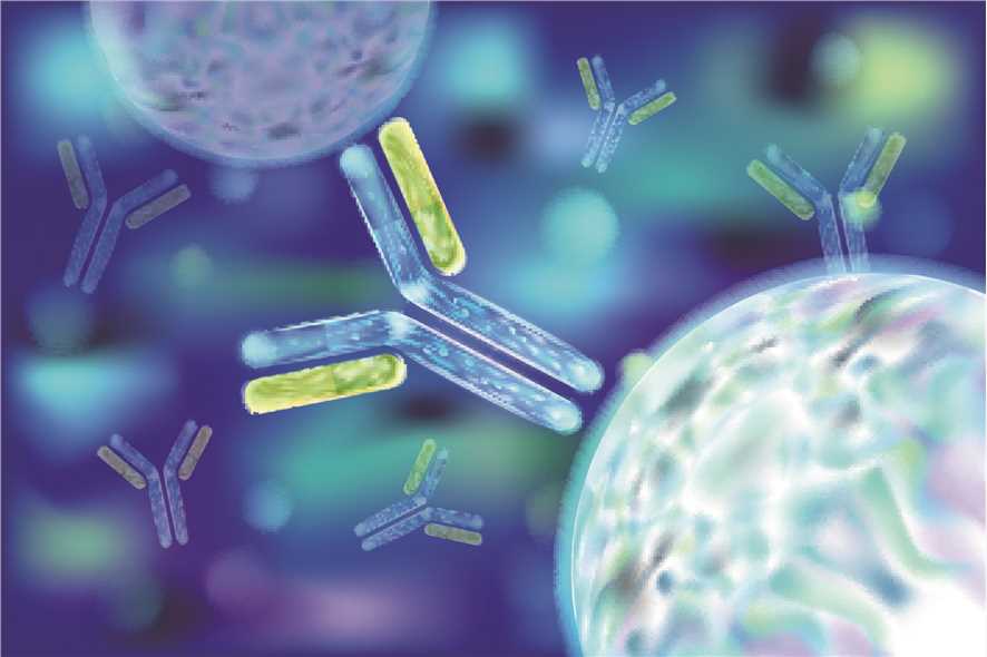 Schematic or experimental data of the structure-guided immunogen for universal vaccine development.