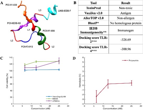 Characterization results and safety validation data of the multiepitope polypeptide for universal vaccine.