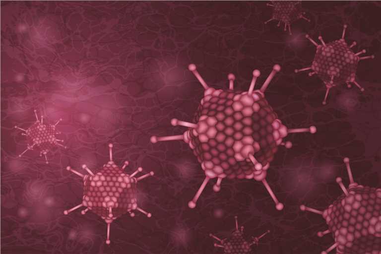 Schematic diagram or experimental results of viral vector engineering for MPXV vaccine development.