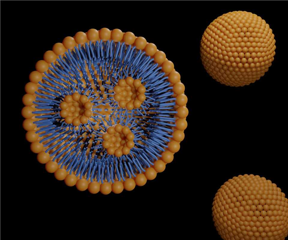 A slide presenting the mRNA/DNA LNP Delivery System as part of the Cancer Vaccine Development Solution.