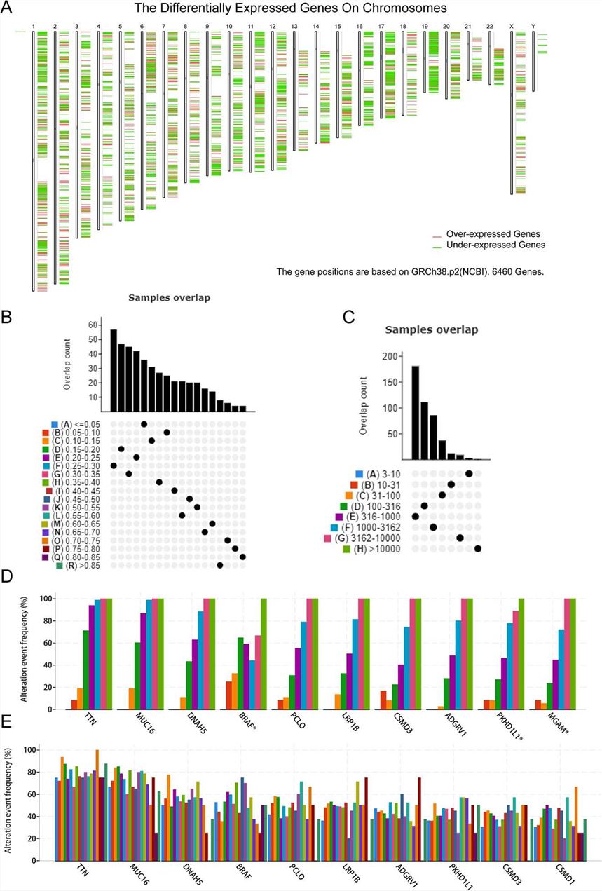 A slide displaying the identification of candidate neoantigens in SKCM (Skin Cutaneous Melanoma).