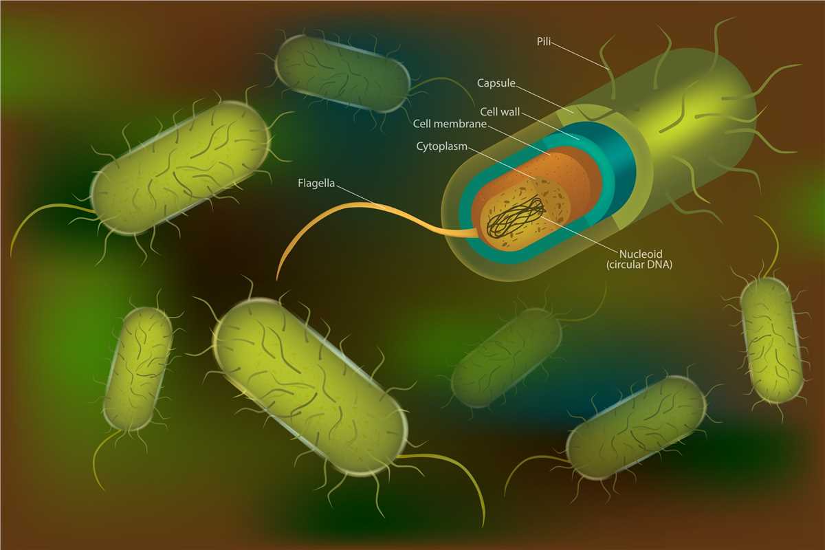 A slide showcasing High-Performance Viral/Bacterial Vector Engineering as part of the featured cancer vaccine types.