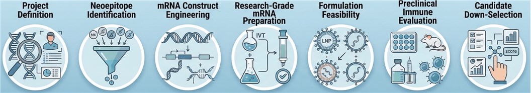 Integrated workflow for personalized mRNA cancer vaccine research
