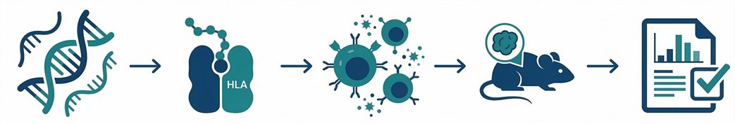 Integrated evaluation workflow for neoantigen candidates