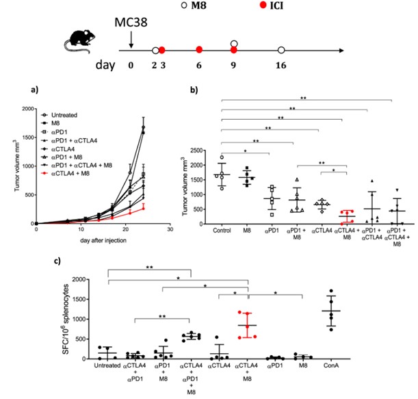 Therapeutic effect of combined M8 and ICI treatment.
