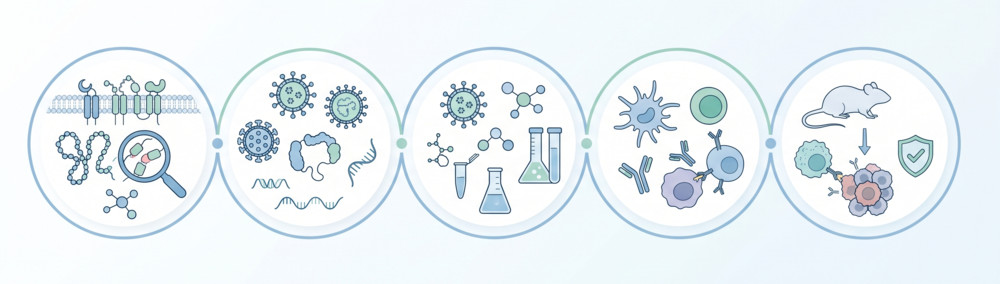 Integrated preclinical workflow for Ley and Globo H carbohydrate vaccine development