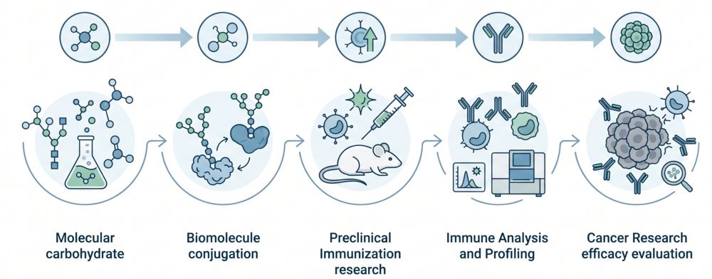 Integrated workflow for TF, Tn and STn carbohydrate vaccine development