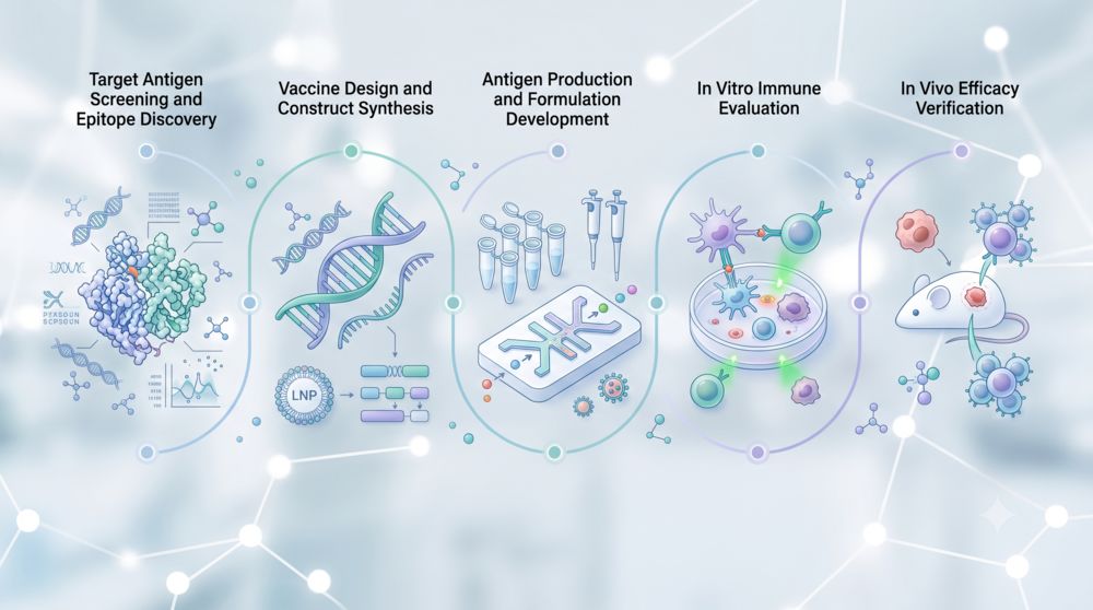 PSMA vaccine development workflow