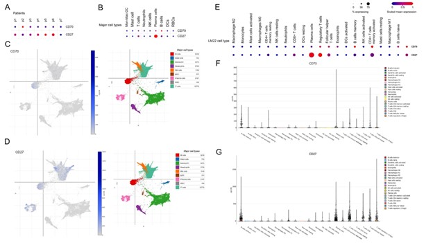 Clinical and immune responses to personalized Neo-DCVac therapy in patient 1 with metastatic lung adenocarcinoma.