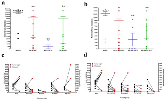 Reduction of spontaneous lung metastasis induced by Fs vaccines.