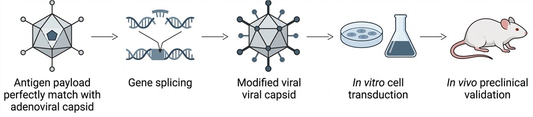 Adenovirus cancer vaccine design workflow