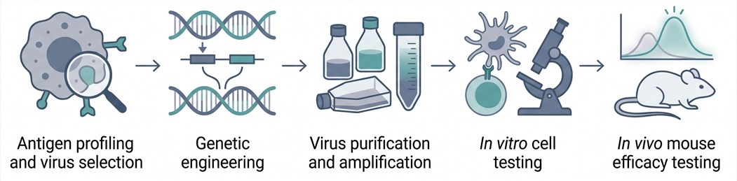 Integrated poxvirus vaccine engineering workflow