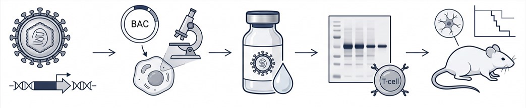 Integrated HSV-1 cancer vaccine design workflow