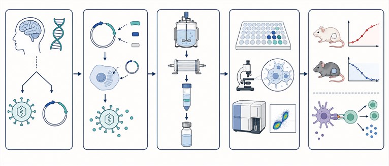 Integrated MeV vaccine development workflow