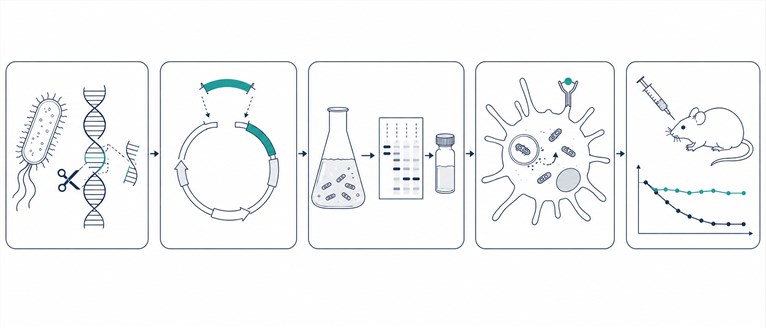 Integrated workflow