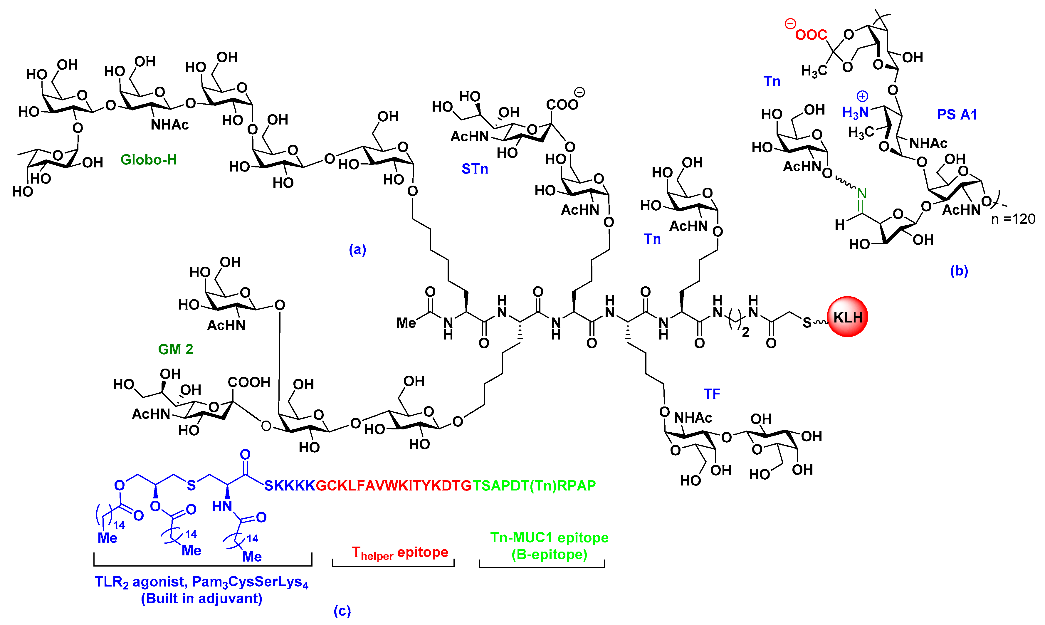 Glycan microarray analysis of anti-Globo H antibody specificity following KLH conjugate immunization