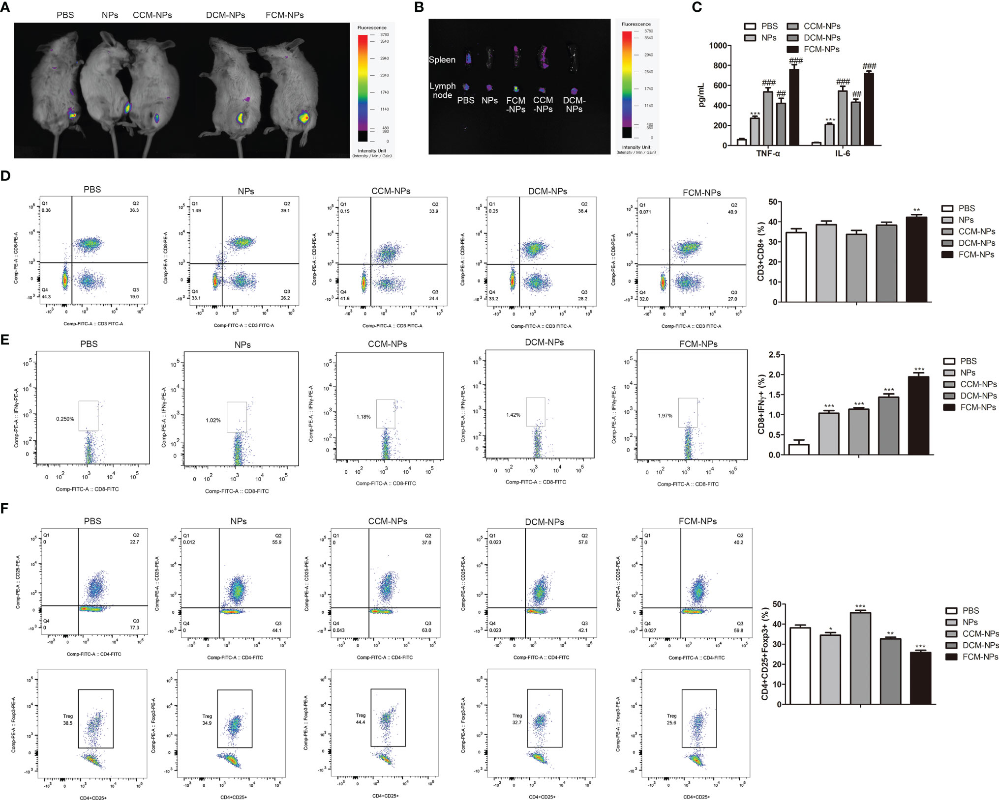 In vivo immune activation evaluation of FCM-NPs in mice.