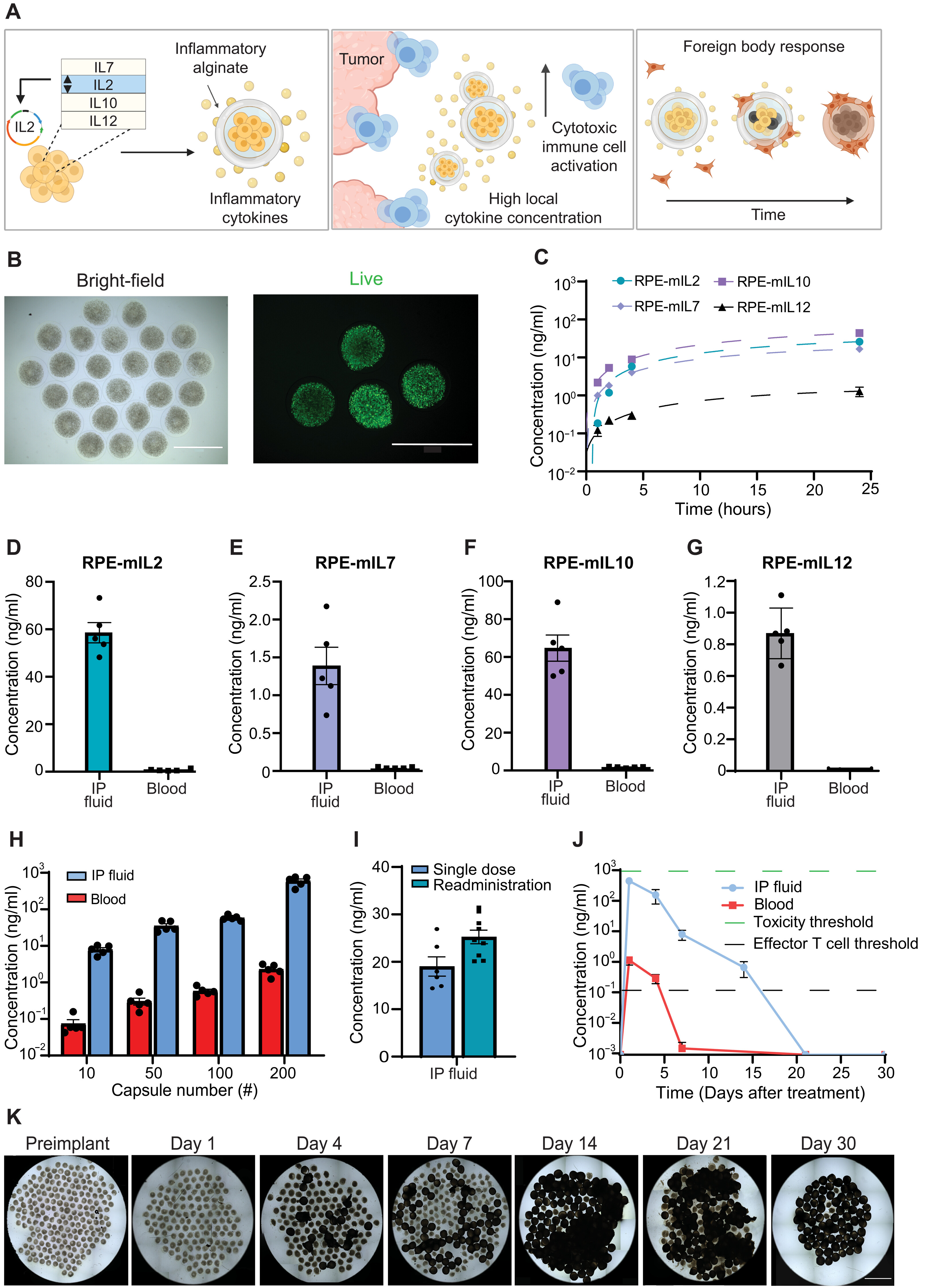 Encapsulated cell cytokine factories with tuned in vivo pharmacokinetics.