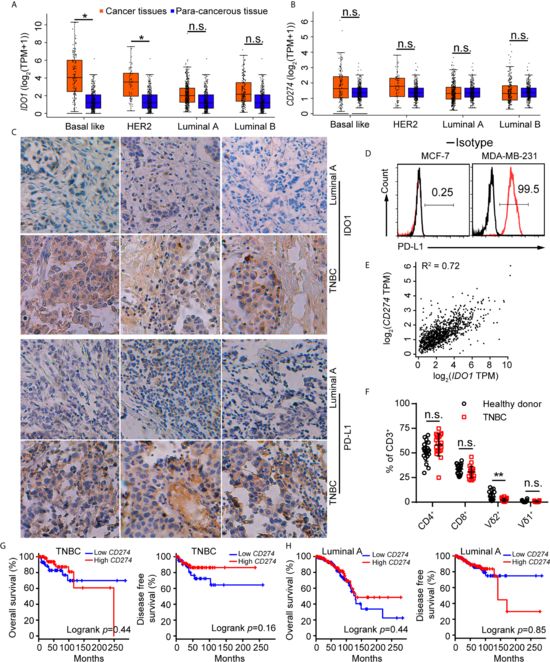 IDO1 and PD-L1 are co-expressed in triple-negative breast cancer cells.