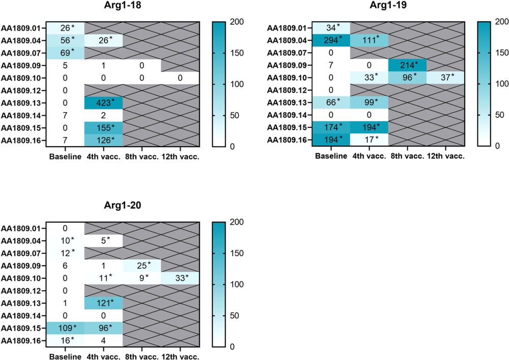 Arginase vaccine mechanism: T cell-mediated elimination of ARG1-expressing MDSCs and TME remodeling.