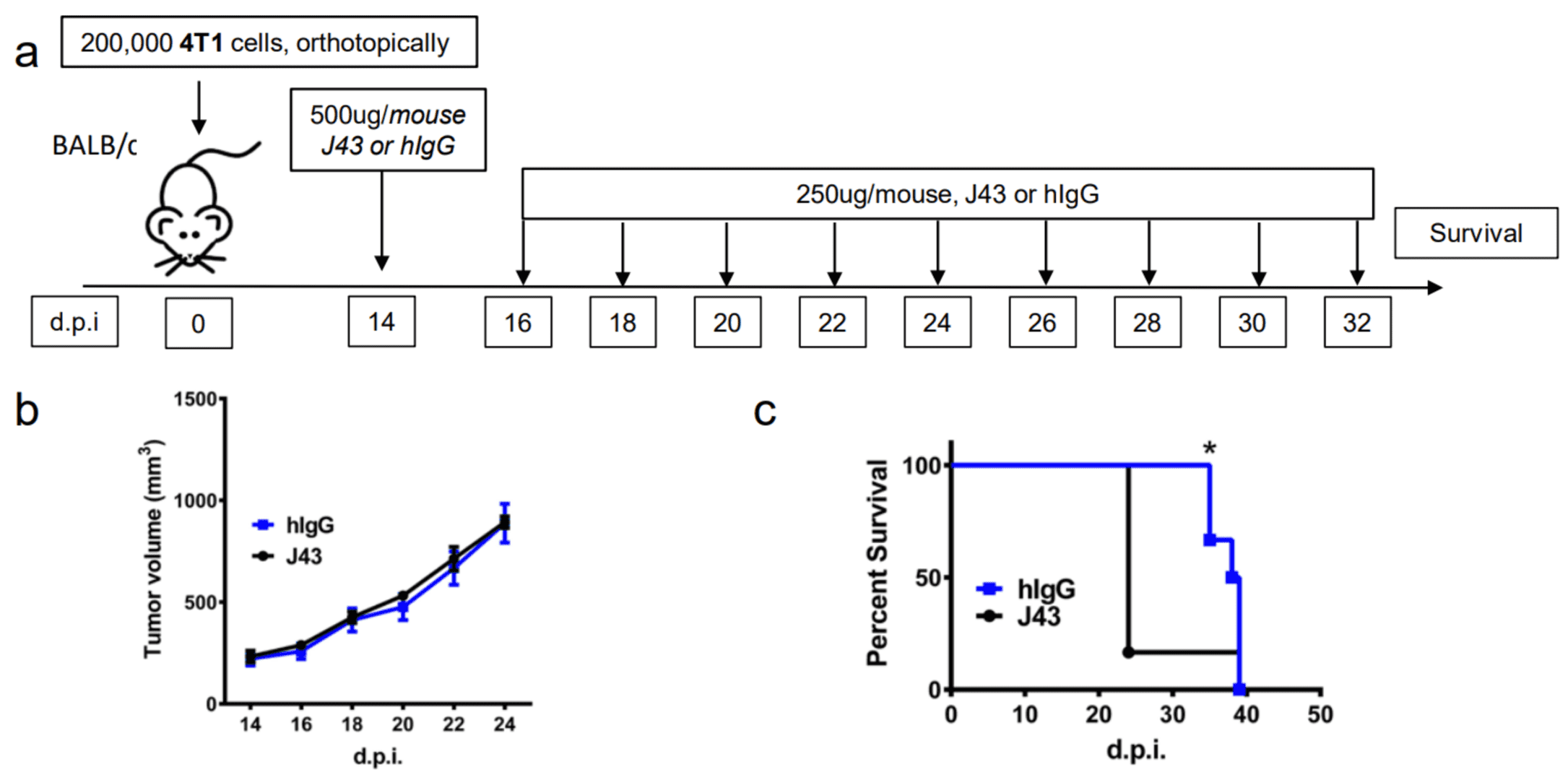 Data showing fatal hypersensitivity from repeated xenogeneic α-PD-1 administration in the 4T1 model.