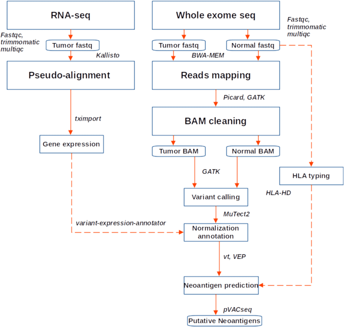 Schematic overview of an integrated sequencing workflow spanning capture, alignment, and annotation