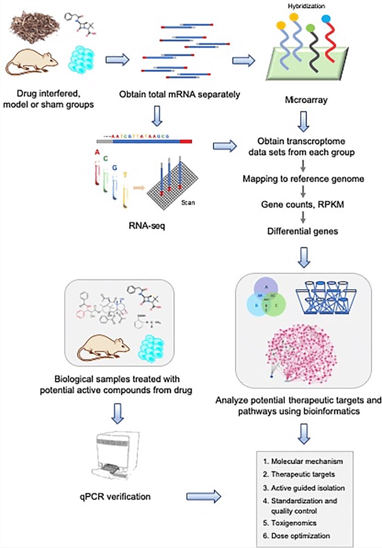 Schematic of a system-biology strategy for natural drug discovery based on transcriptome sequencing.