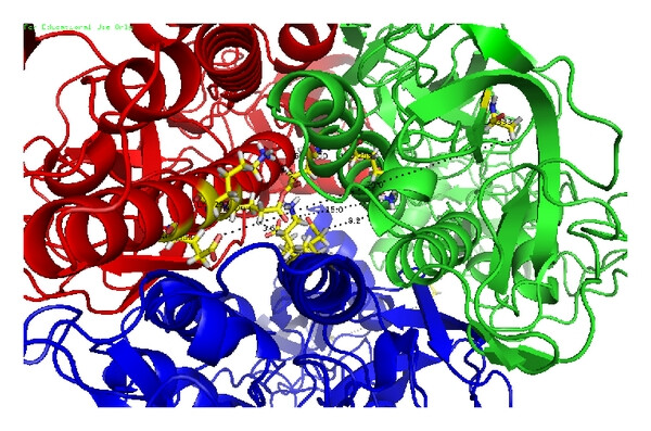 Schematic diagram of the rabies virus glycoprotein domain.