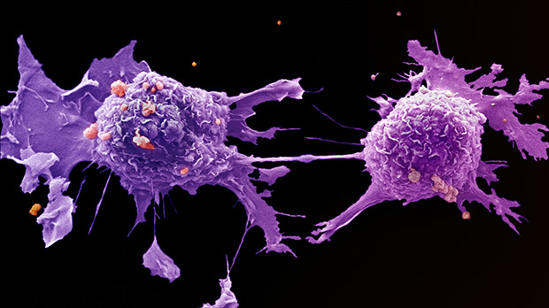 Anti-Tregs Immune-modulating Anti-cancer Technology