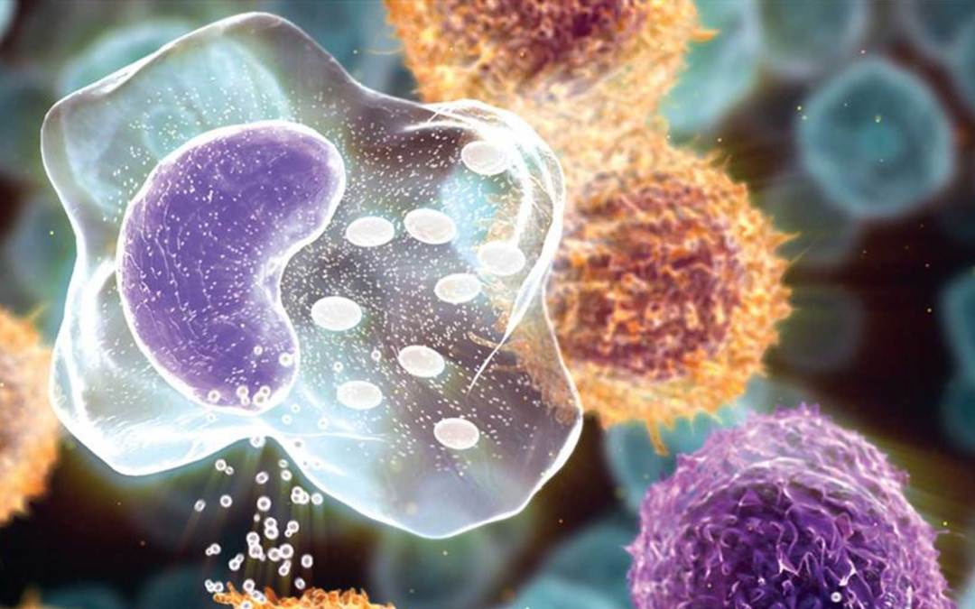 Antibodyantigen Fusion Technology for Cancer Vaccine Creative Biolabs