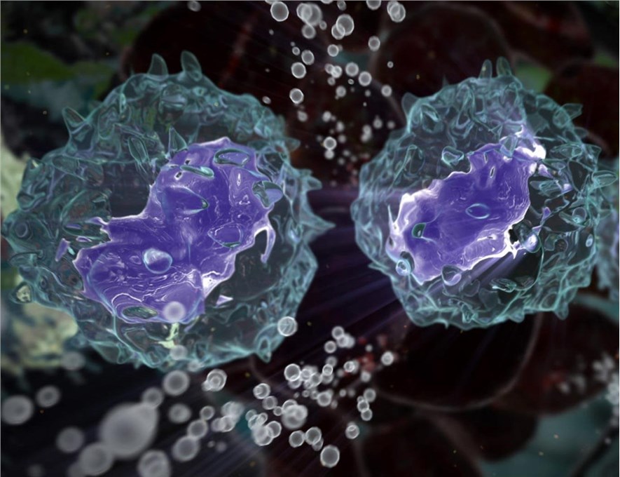 Antibody-antigen Fusion Technology – Creative Biolabs